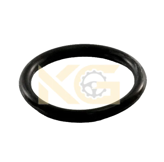 O-Ring