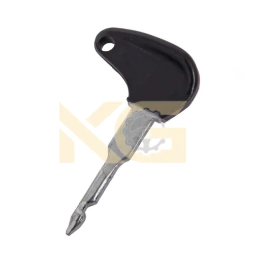 Ignition Switch Key