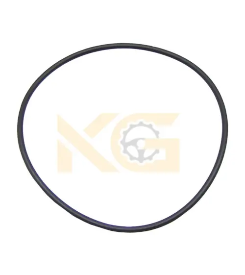 O-Ring