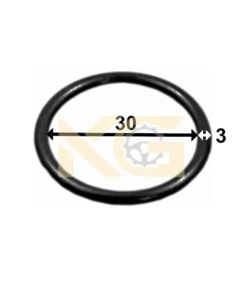 O-Ring