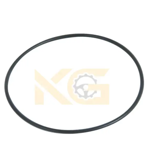 O-Ring