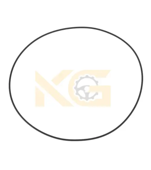 O-Ring