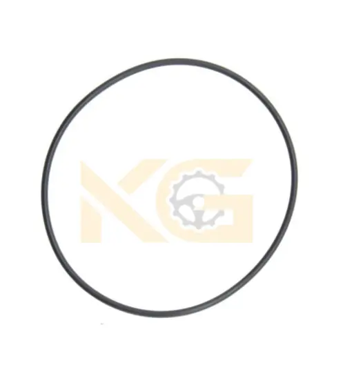 O-Ring