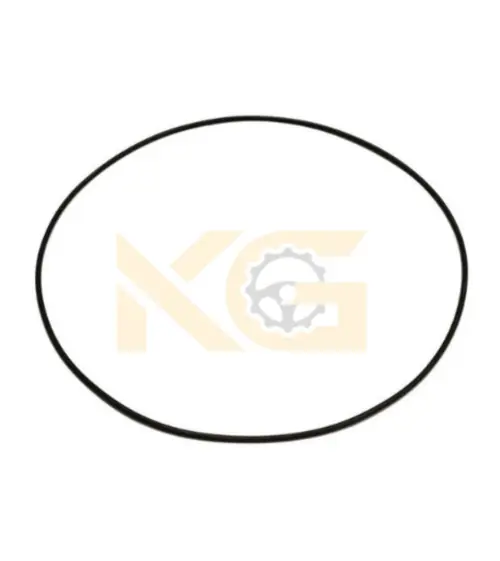 O-Ring