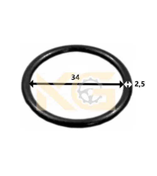 O-Ring