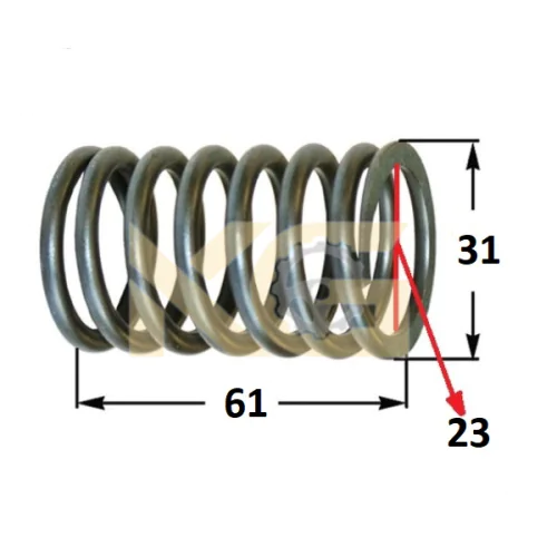 Valve Spring