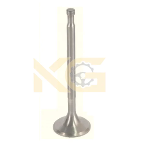 Intake Valve